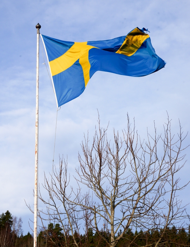 12b-svenska-flaggan-frisk-vind-10-615x800